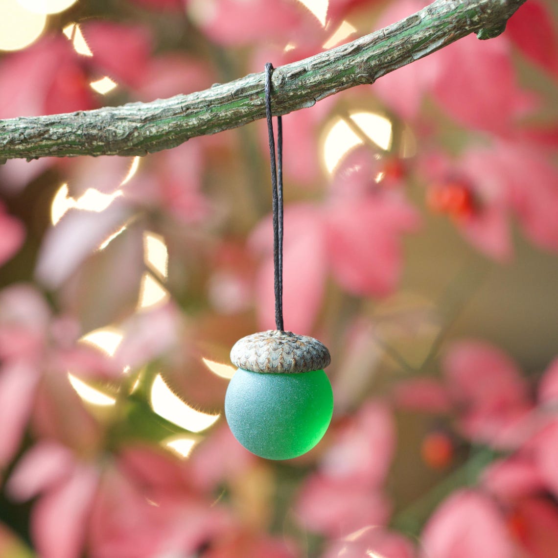 Sea Glass Acorns: NATURAL Cap Decorative Ornaments