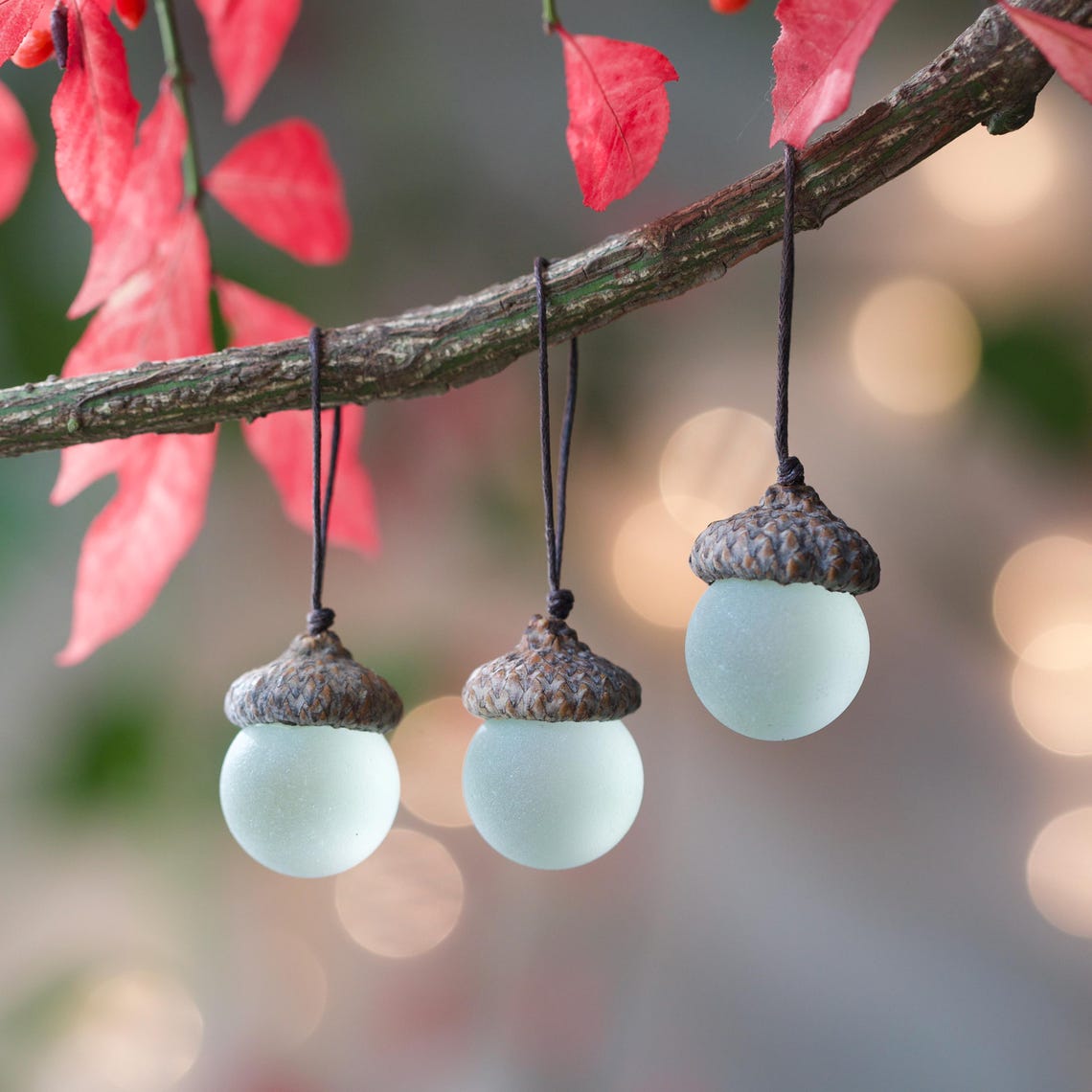 Sea Glass Acorns: NATURAL Cap Decorative Ornaments