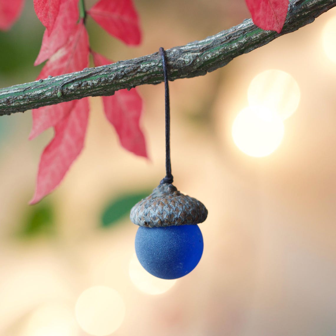 Sea Glass Acorns: NATURAL Cap Decorative Ornaments