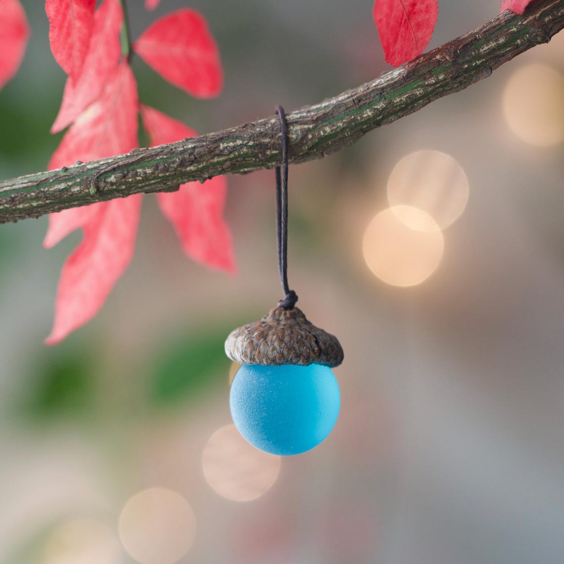 Sea Glass Acorns: NATURAL Cap Decorative Ornaments