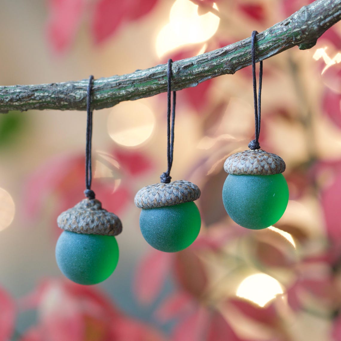 Sea Glass Acorns: NATURAL Cap Decorative Ornaments